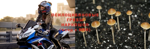 ешки Белокуриха